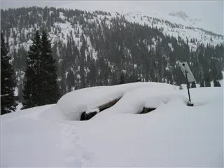 small_040224 coIMG_2577.webp